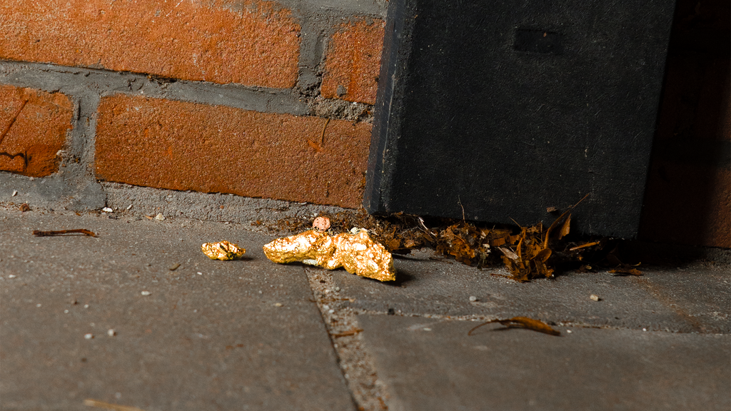 Study: Diver in Flight
