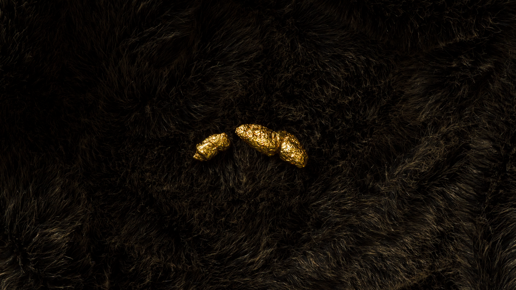 Study: Diver in Flight