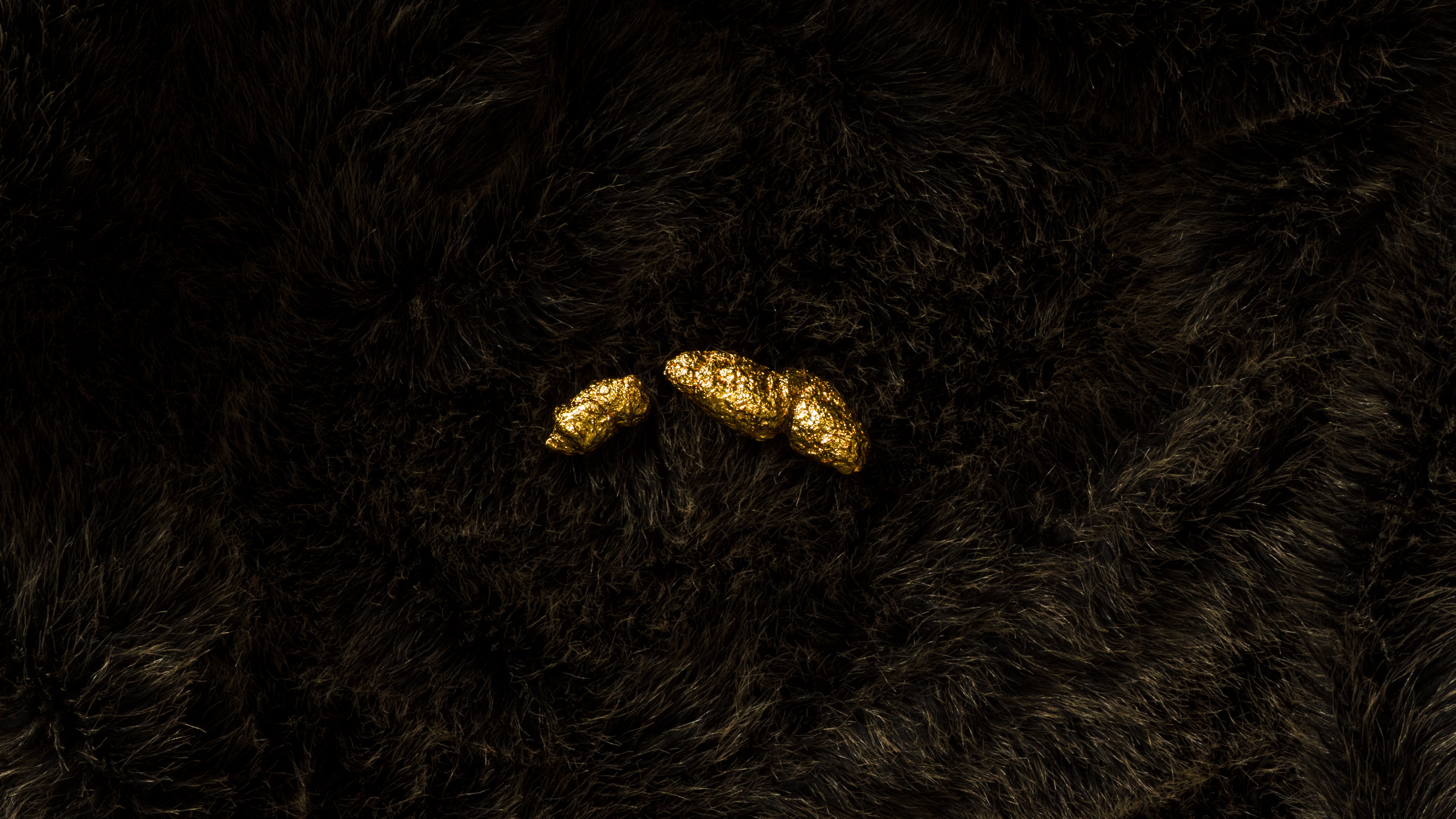 Study: Diver in Flight