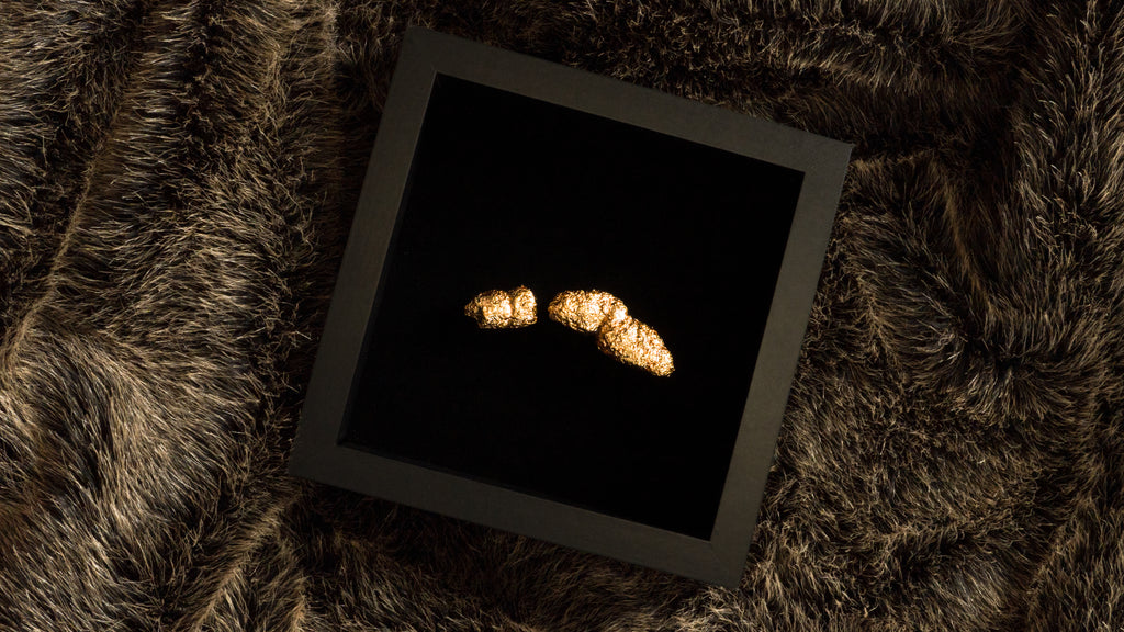 Study: Diver in Flight