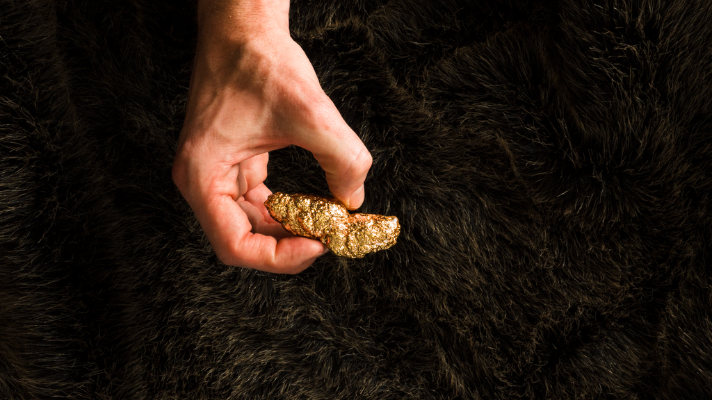 Study: Diver in Flight